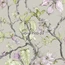 کاغذدیواری کد  MDW-1002-03